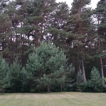 Pine Forest By The Baltic Sea Apartment *